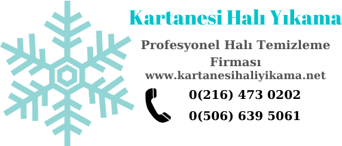 Kartal Halı Yıkama